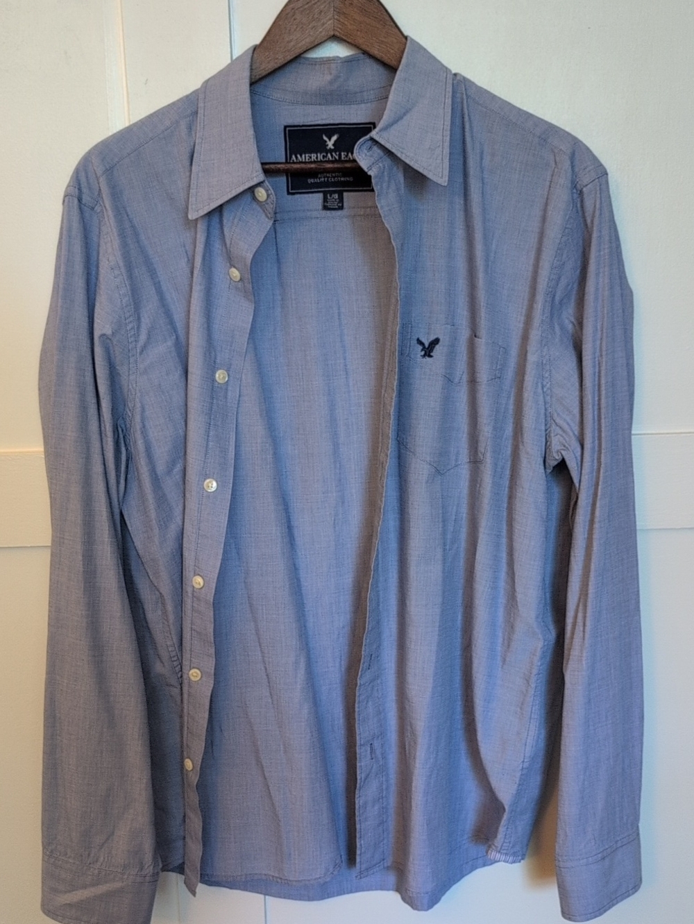 American Eagle Outfitters Light Blue Long-Sleeve Button Shirt